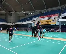 爱游戏直播赛事 -包含羽毛球赛场再起风云：岭北鲨队队惊险晋级漓江独角兽队，赛场气氛火爆传控打穿防线的词条